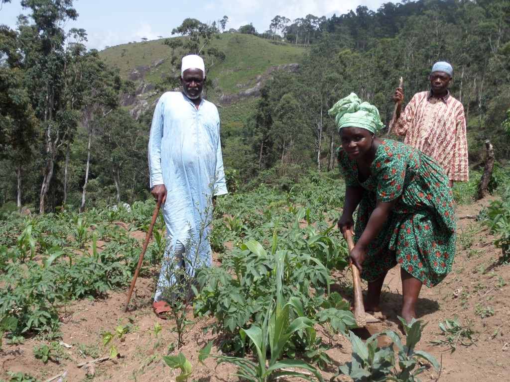Alice Akam in Akum with her alliance farming partner