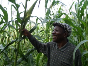 MR Wasi Jacob, Wum, showing his Maize to visitors