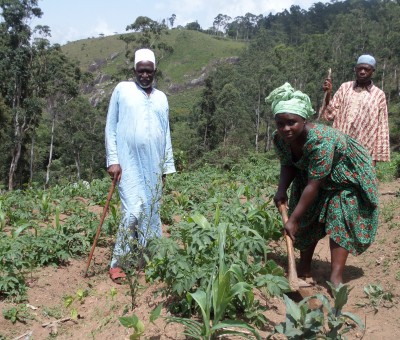 Farmers and Herders work together to alleviate conflict and enhance communities
