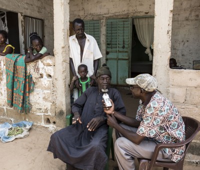 Seeds of success in rural Senegal